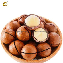 Hot Sale High Quality Macadamia Nuts